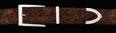 B71Trinidad smooth silver 3 piece buckle set, 1½ on Chocolate Hippo