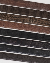 American Alligator and Crocodile