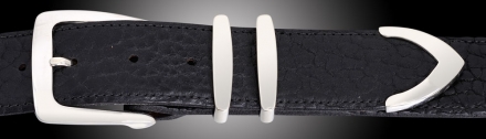 B61 Denver, smooth 4 piece buckle set on Black American Bison